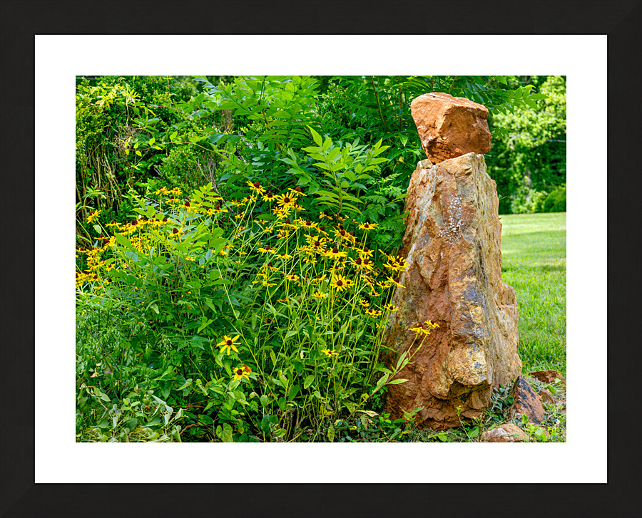 The Sentinel Picture Frame print