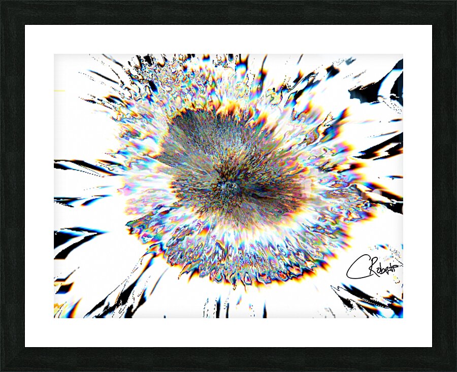 Pale Smeared Sunflower in Monochrome Picture Frame print