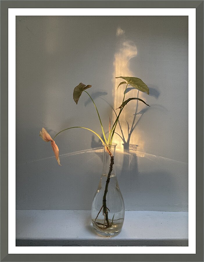 5Alive Picture Frame print