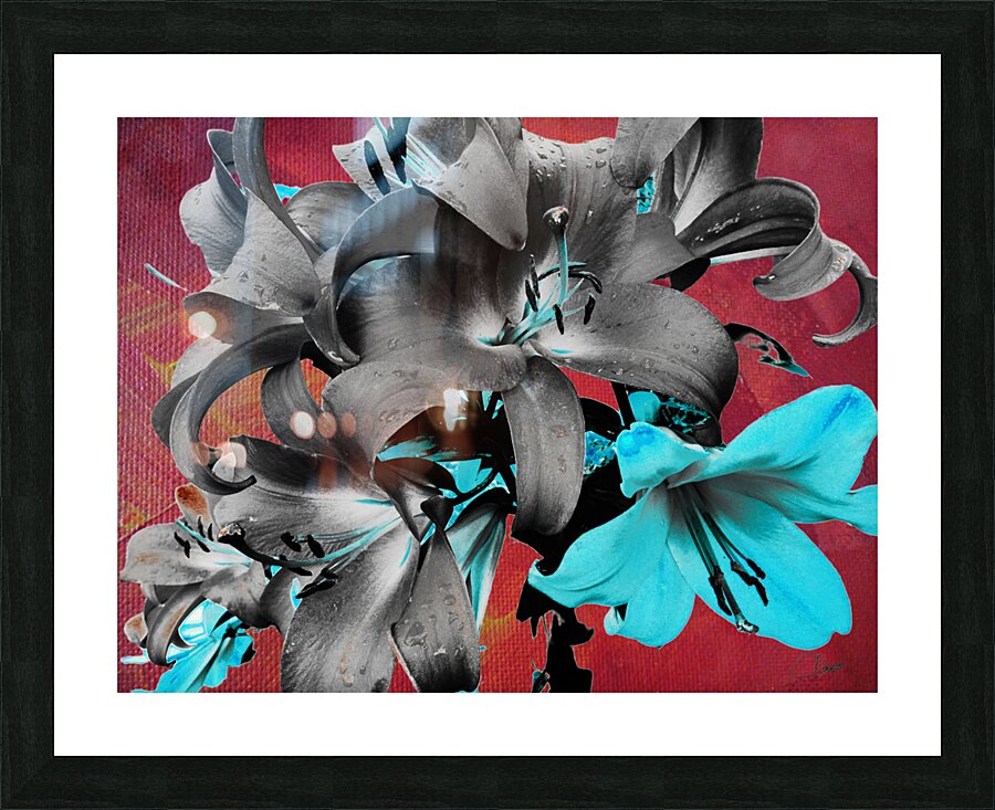  Darkly Inverted Poster Colour Lilies Picture Frame print