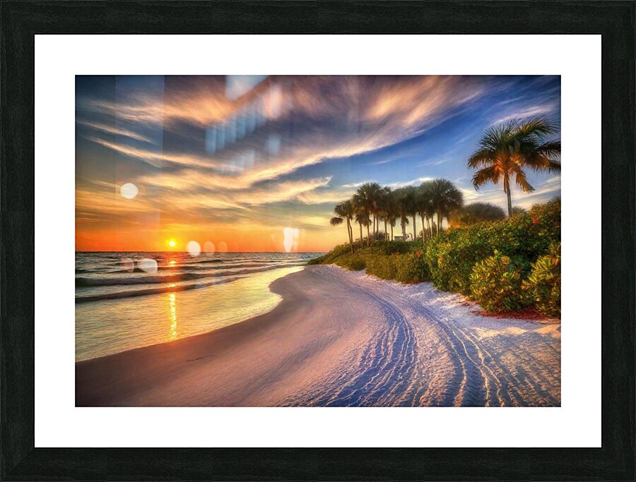 IMG 5941 Picture Frame print