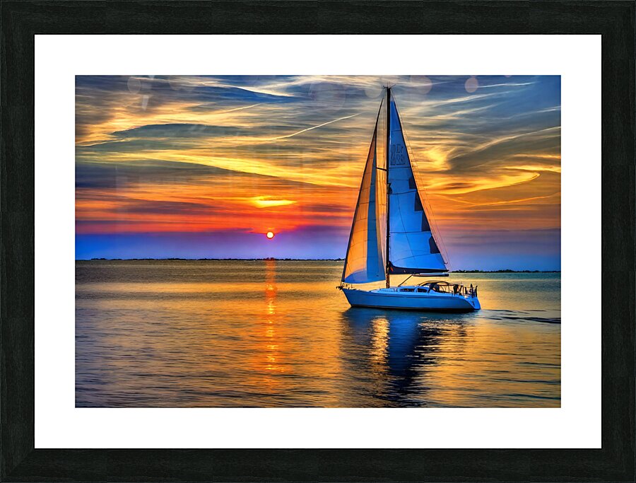 IMG 5935 Picture Frame print