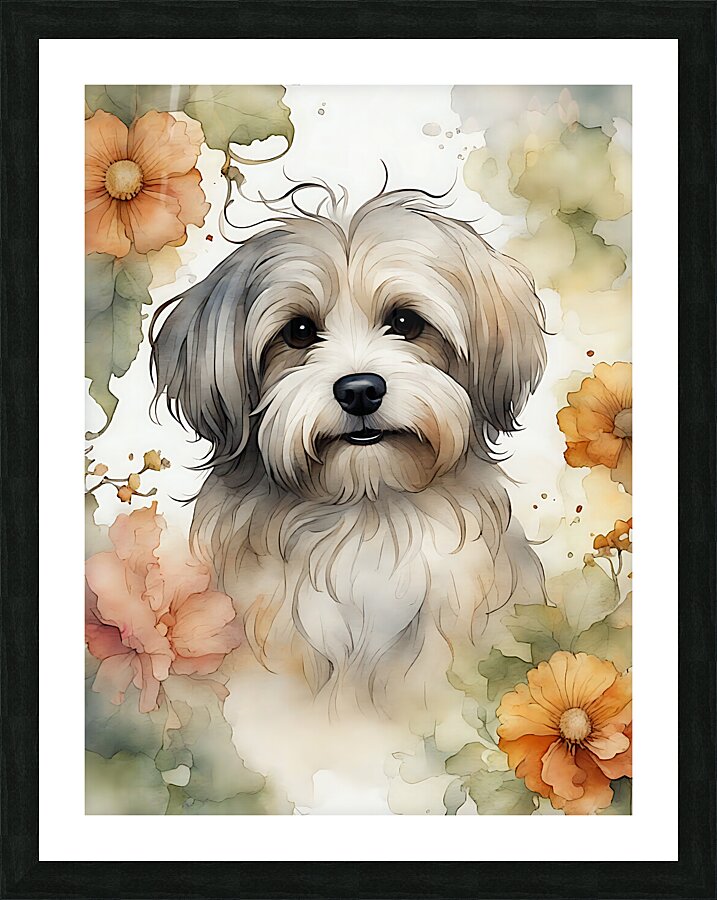 Cute Havanese Dog 1 Picture Frame print