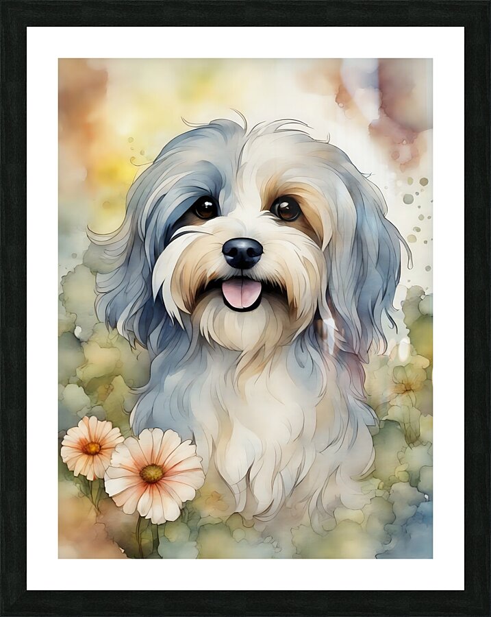 Cute Havanese Dog 3 Picture Frame print