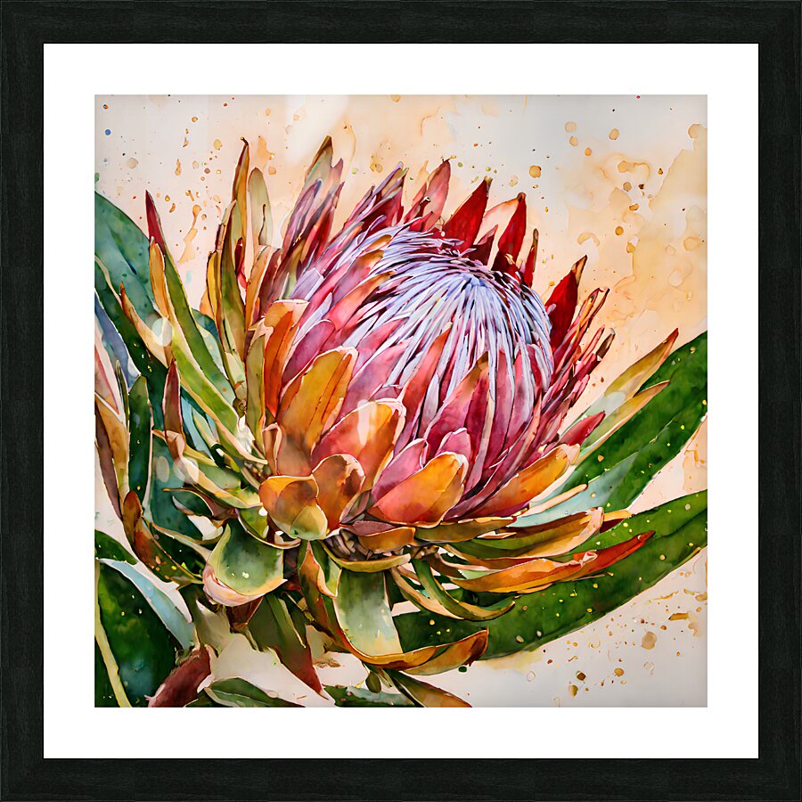 Protea Picture Frame print