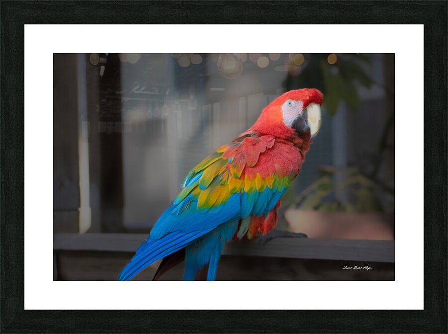 Callies Baby Picture Frame print