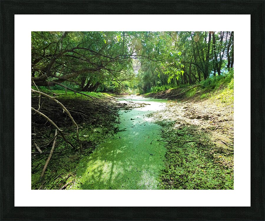 Dry Creek II Picture Frame print