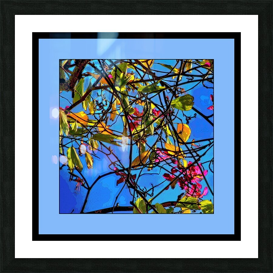 TREES 005 Picture Frame print