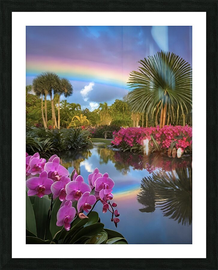 Naples Botanical Gardens Rainbow Sky Picture Frame print