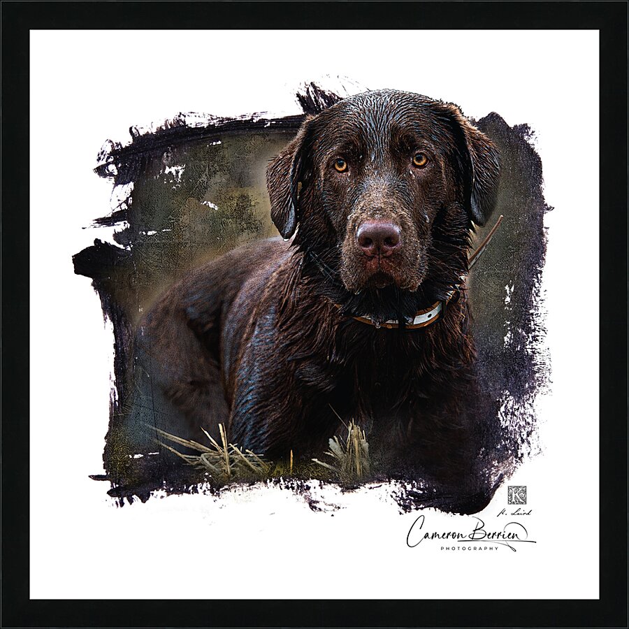 Ranger  Austin Fairchild Picture Frame print