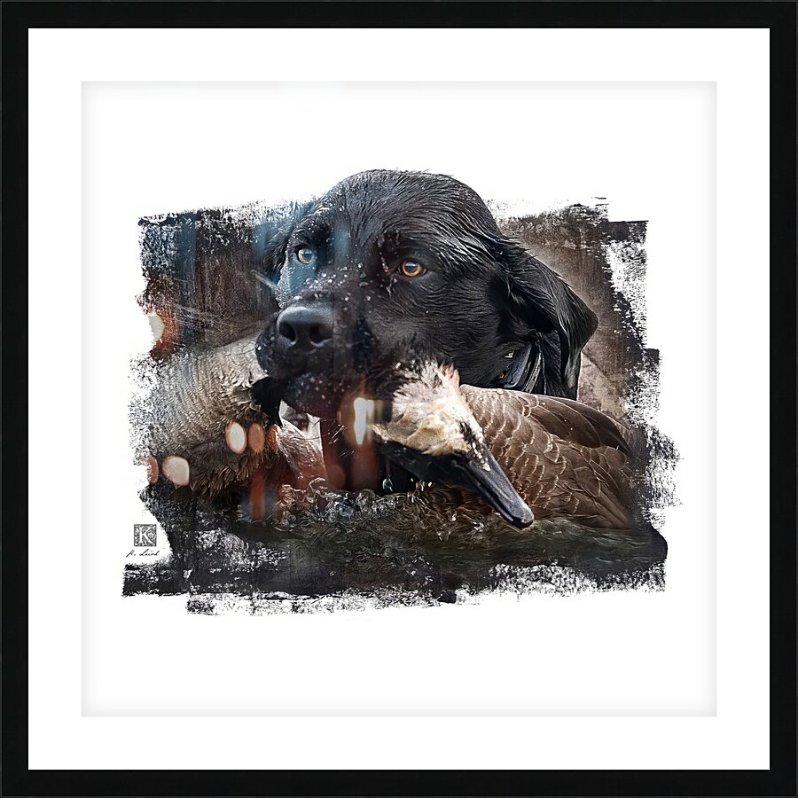 Boomer - No Fear Picture Frame print