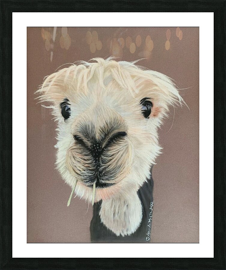 Honey Picture Frame print