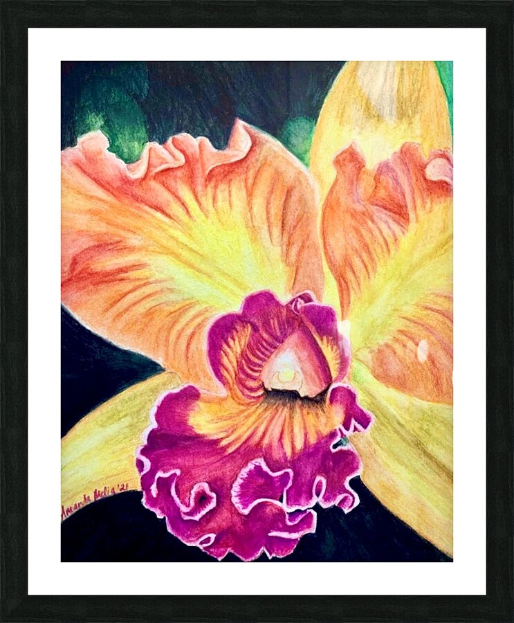 Orchid Picture Frame print