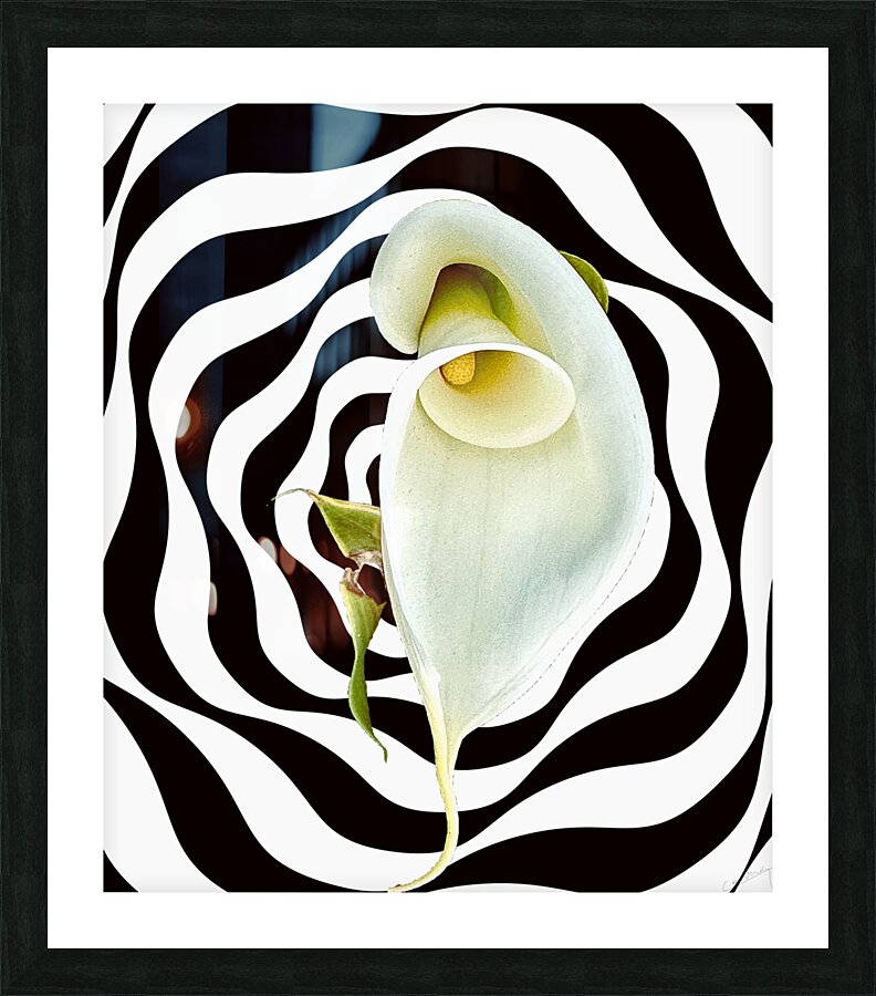 Return to Innocence - Purity Art Print Picture Frame Printing