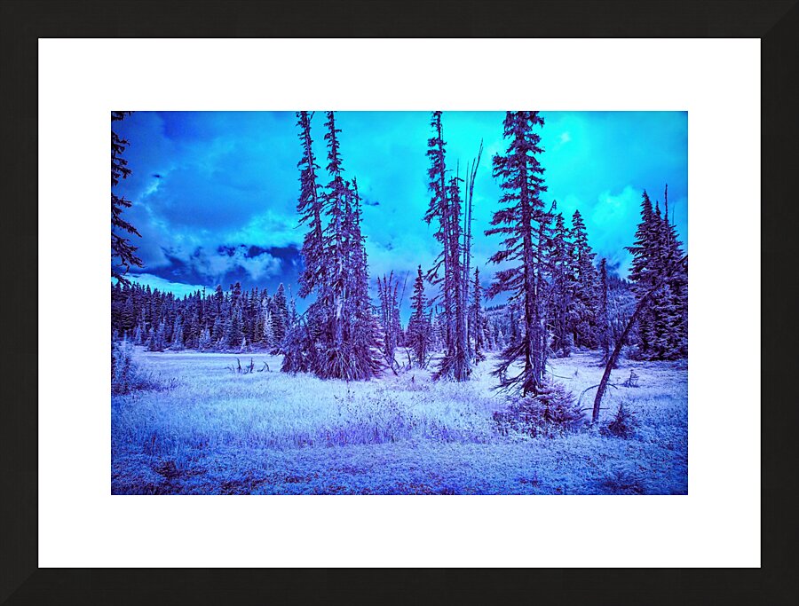 Mt. Washington 2 Picture Frame print