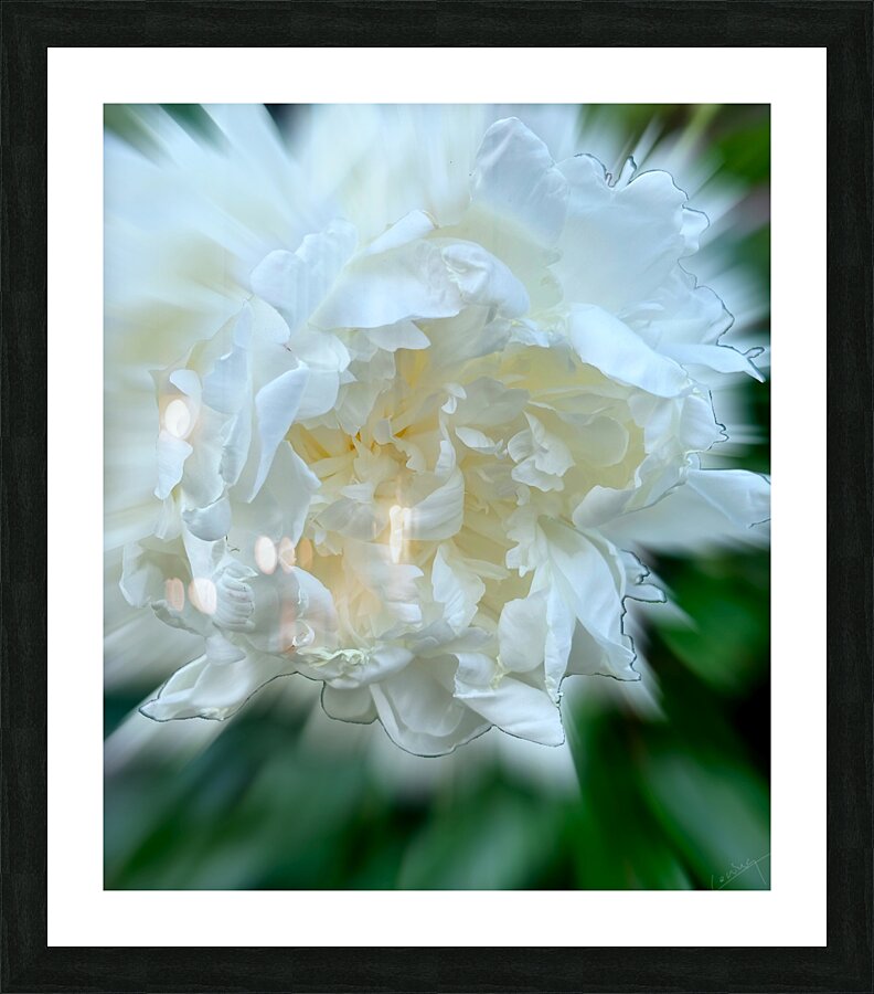 Bursting with Love and Beauty - Floral Art Print Picture Frame Printing