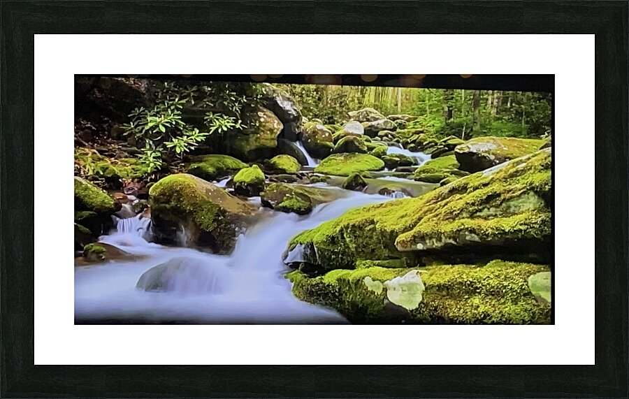 B29D37B0 17E0 445A 8158 F424EA434590 Picture Frame print