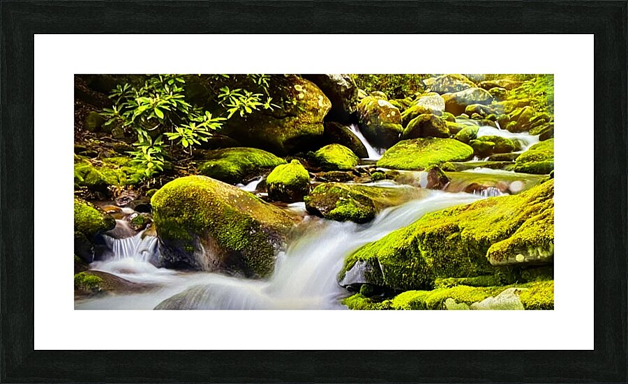 E877E1C9 1142 4946 9696 C7A43DF3C08E Picture Frame print