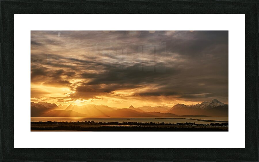 Homer Spit Picture Frame print