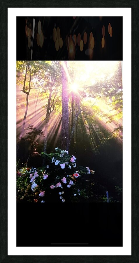 704E911E CDB3 471C 866B 9E1167217C6D Picture Frame print