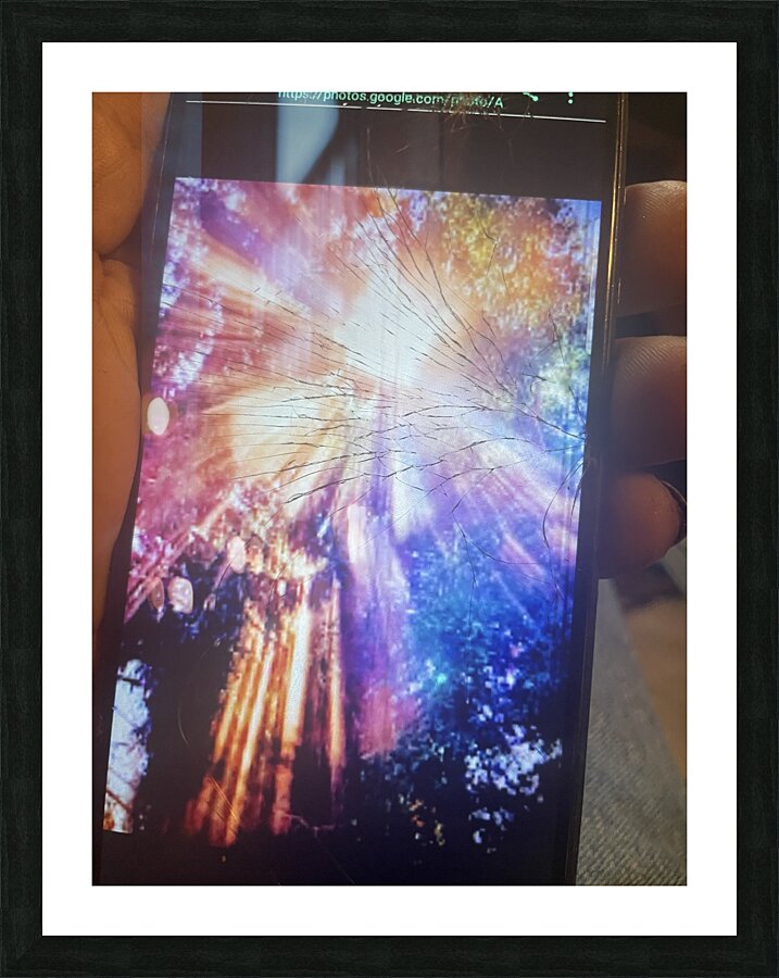 D55D7406 2990 41ED A558 2BB2C89674F2 Picture Frame print