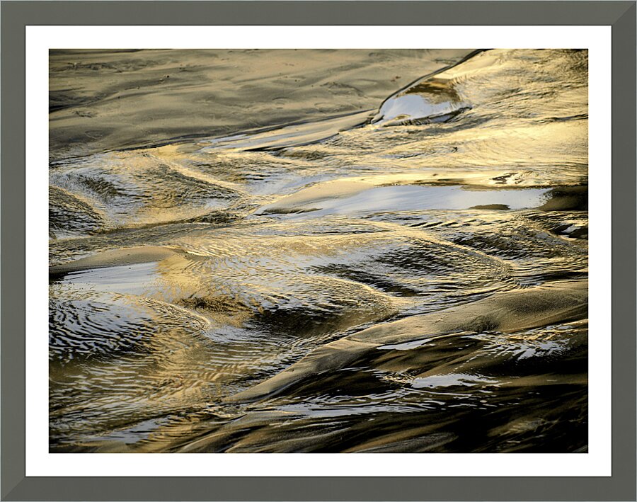 LaJollaGold Picture Frame print