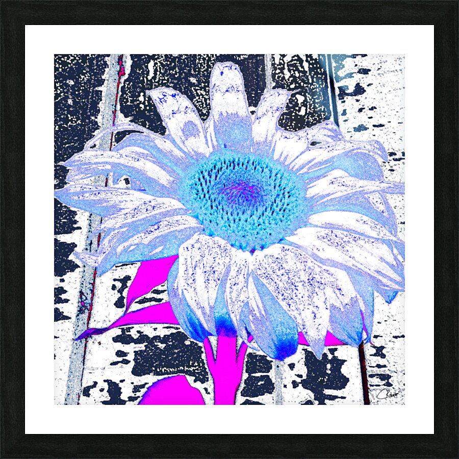 Sunflower in Digital Art Picture Frame print