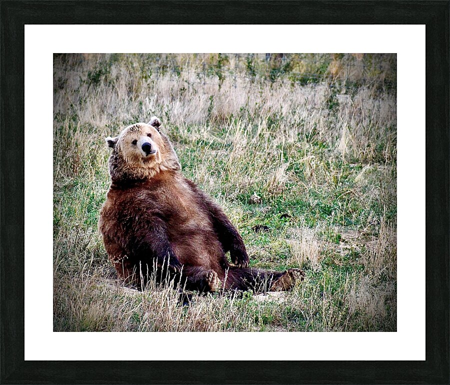 Chillin Picture Frame print