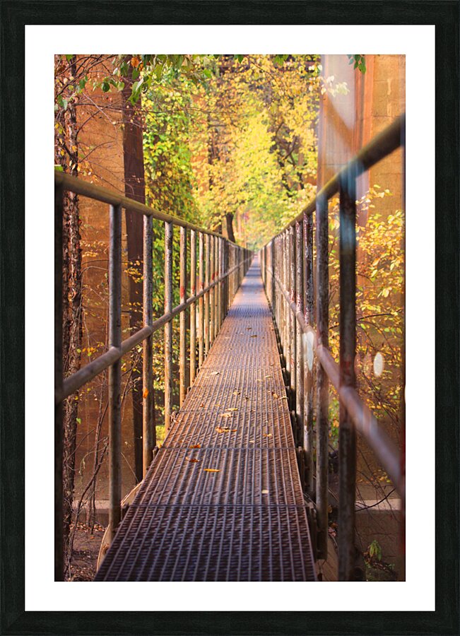 Fall Pipe Line Run 16x24 Picture Frame print