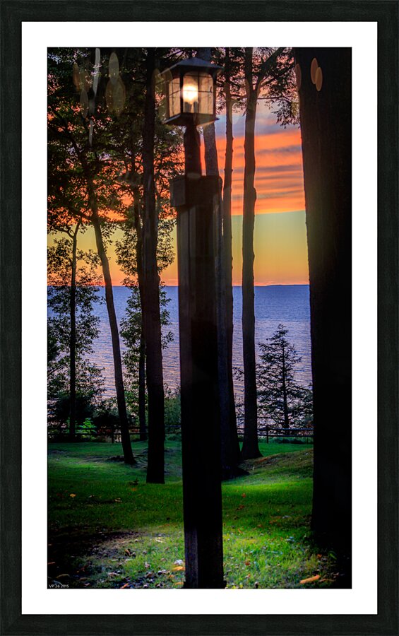 jludwigButterflyjpeg 3   Copy Picture Frame print