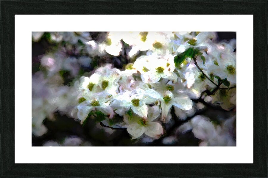 Monet Dogwood 2 studio Picture Frame print