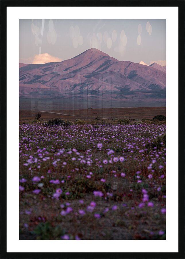 Tamarico Picture Frame print