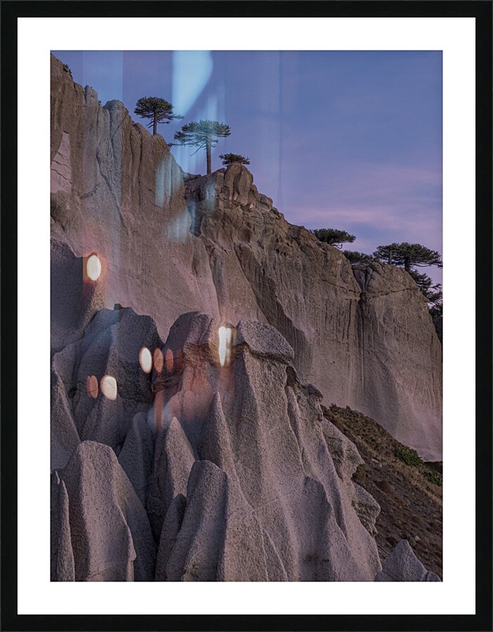 Pehuenco Picture Frame print