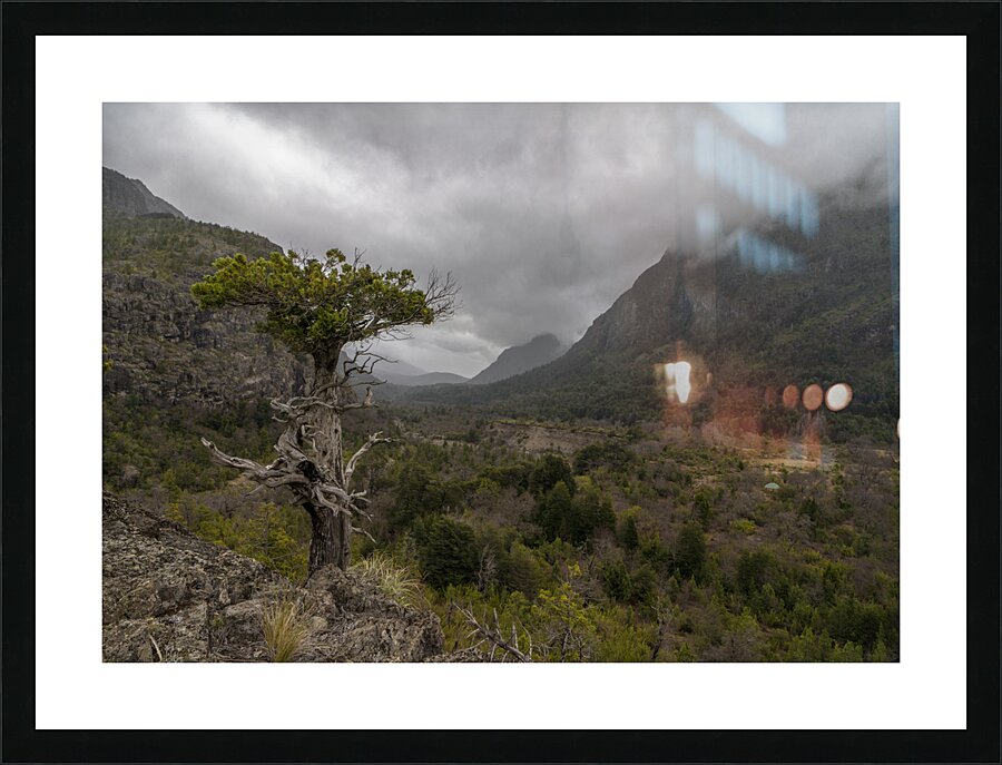 Reserva de Nuble Picture Frame print