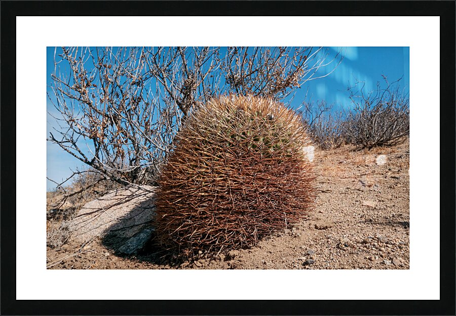 Sandillon Picture Frame print