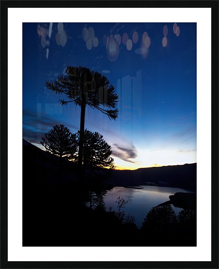 Conguillio Picture Frame print