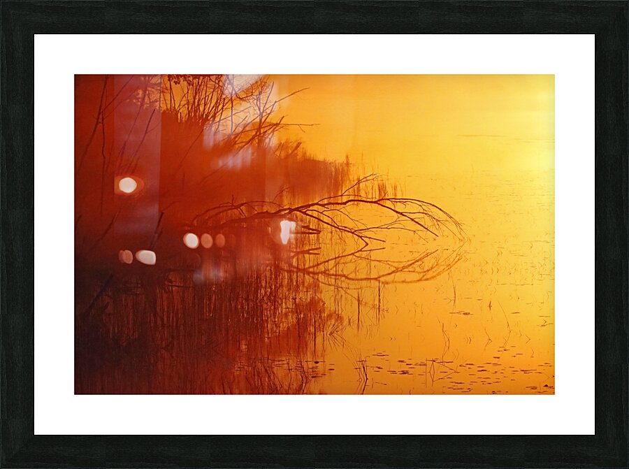 Foggy Glowing Sunrise Picture Frame print