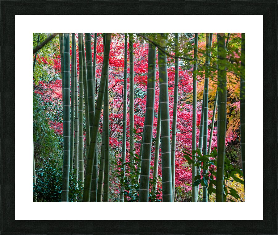 Tranquil Grounds Picture Frame print