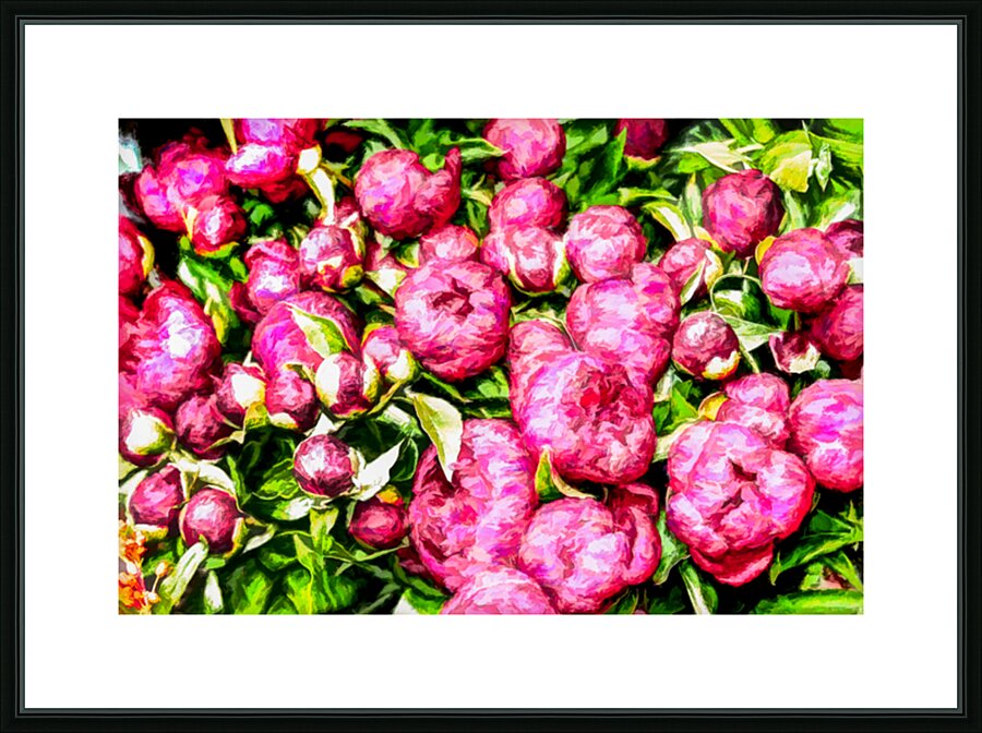Peonies in an Amsterdam Market Picture Frame print