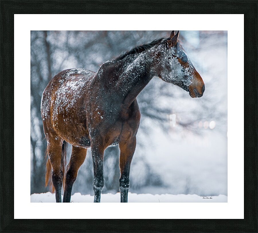 Let It Snow Picture Frame print