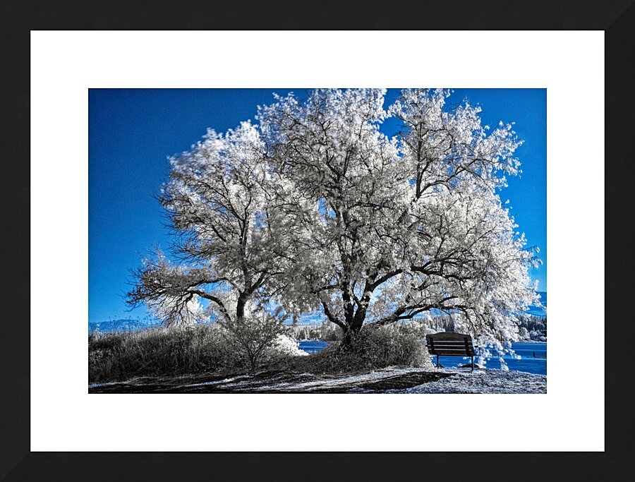 Courtenay River Estuary Infrared Picture Frame print