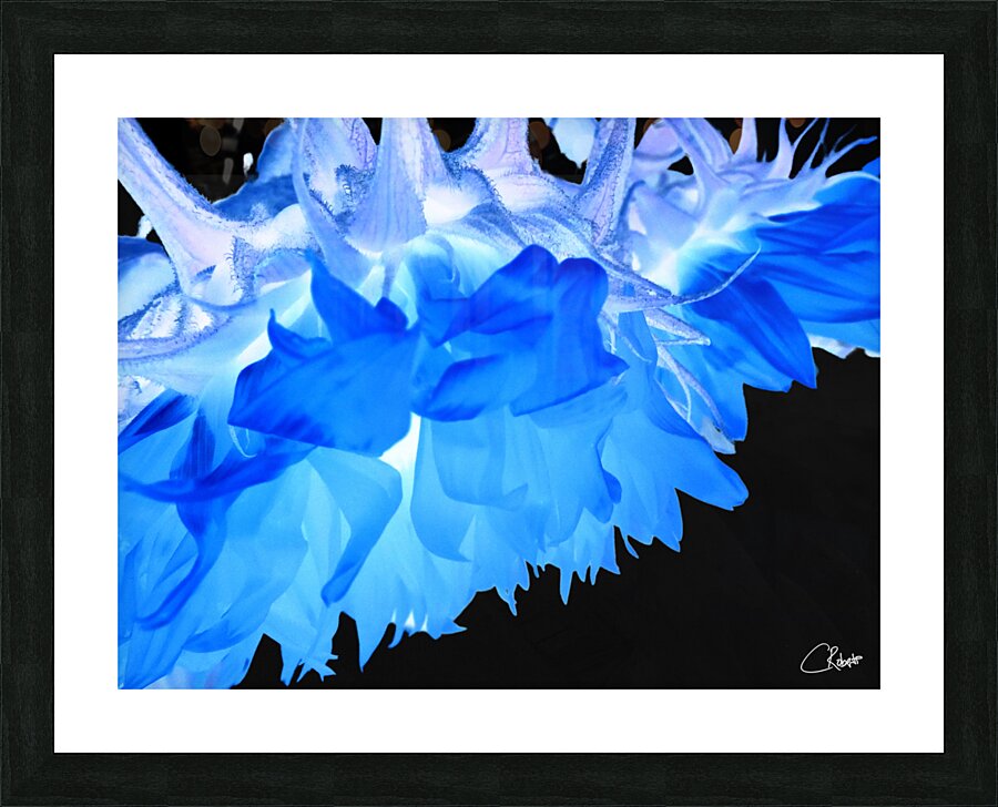  Blue Sunflowers Edge Picture Frame print