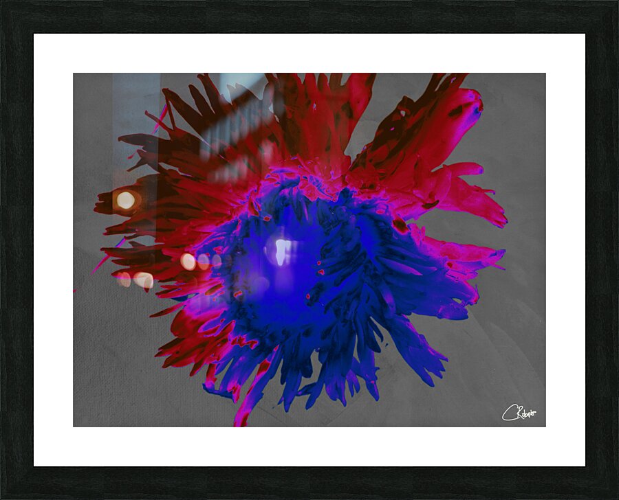 Darker Distressed Neon Heatwave Chrysanthemum Picture Frame print