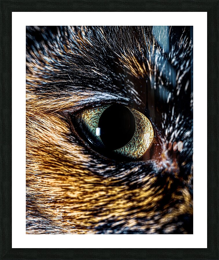 Eye of the Cat Close Up Picture Frame print
