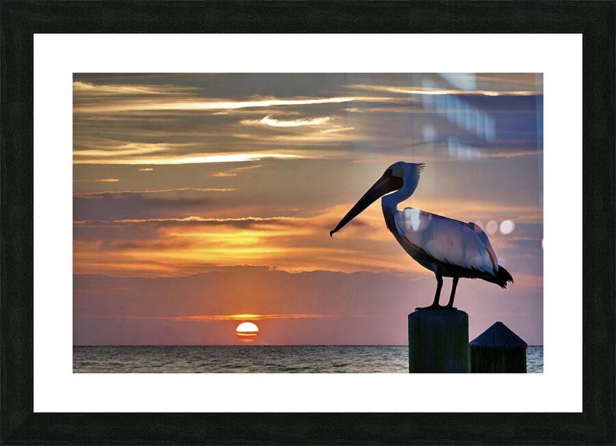 IMG 7726 Picture Frame print