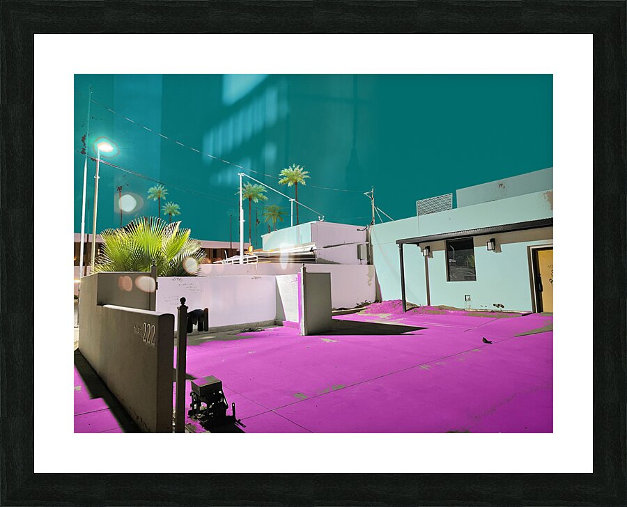 Palm Springs 1A Picture Frame print
