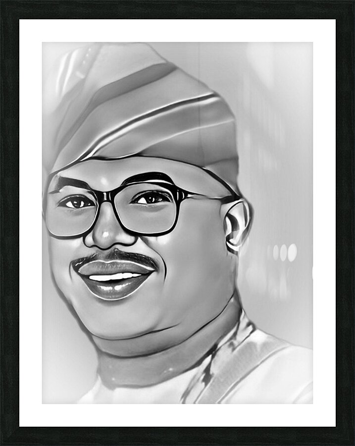 Independence Day Sketch version Picture Frame print