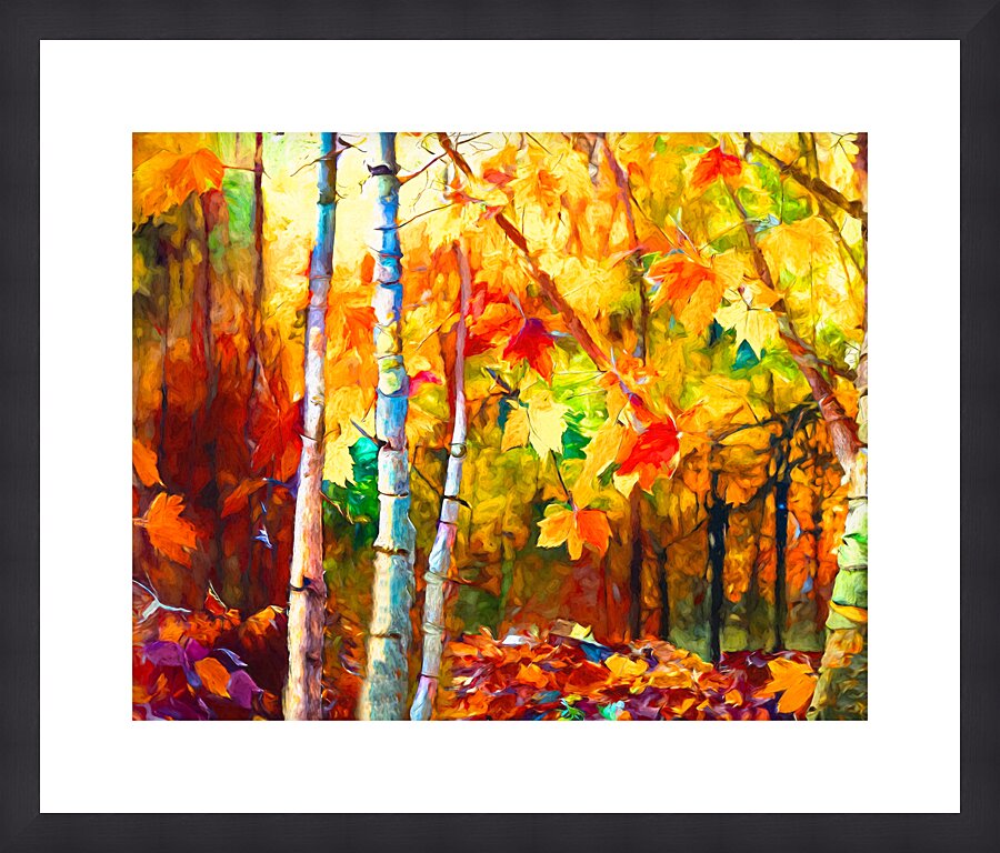 Colorful Fall Leaves in the Forest - 2 Picture Frame print