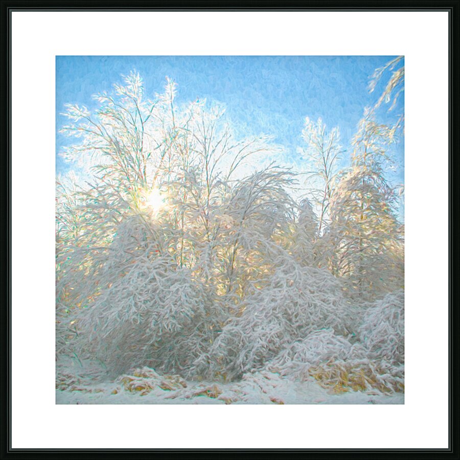 After the Ice Storm Picture Frame Printing