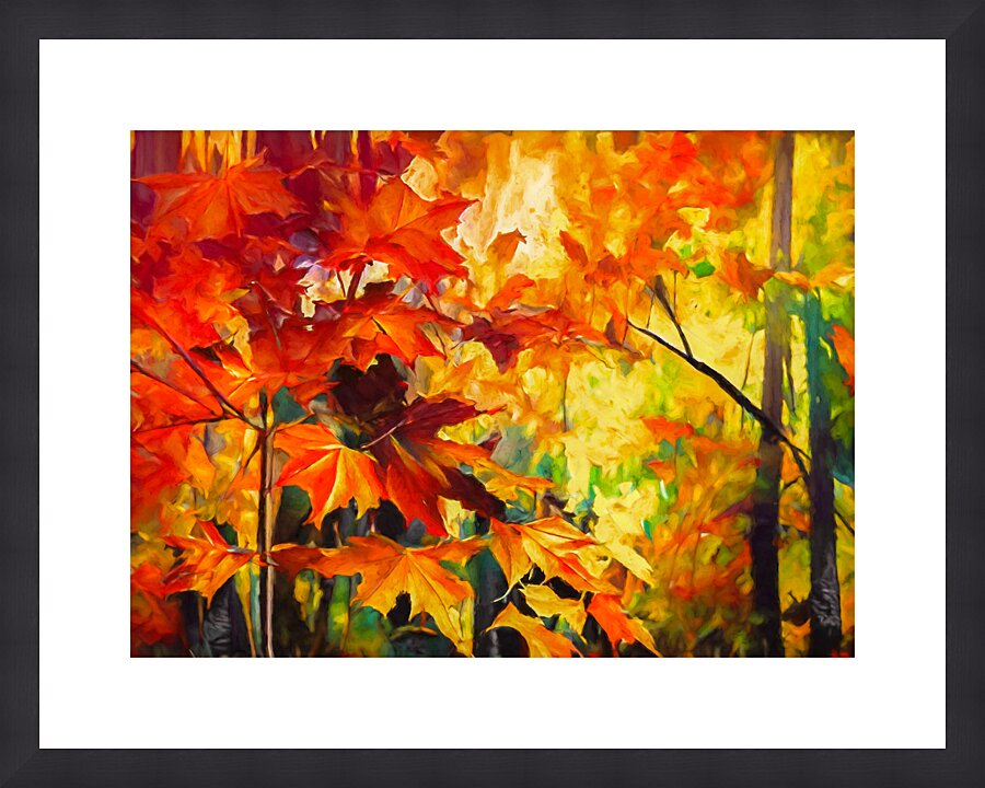 Colorful Fall Leaves in the Forest - 5 Picture Frame print